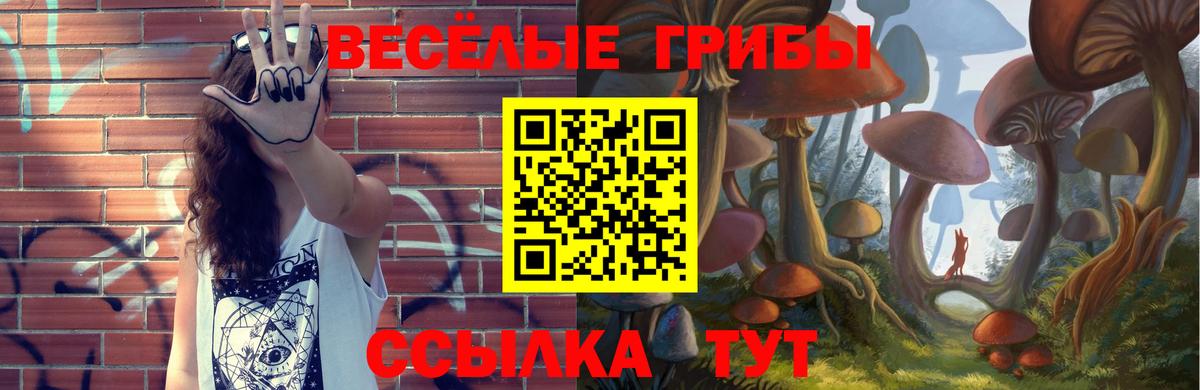 Галлюциногенные грибы Cubensis Михайловск